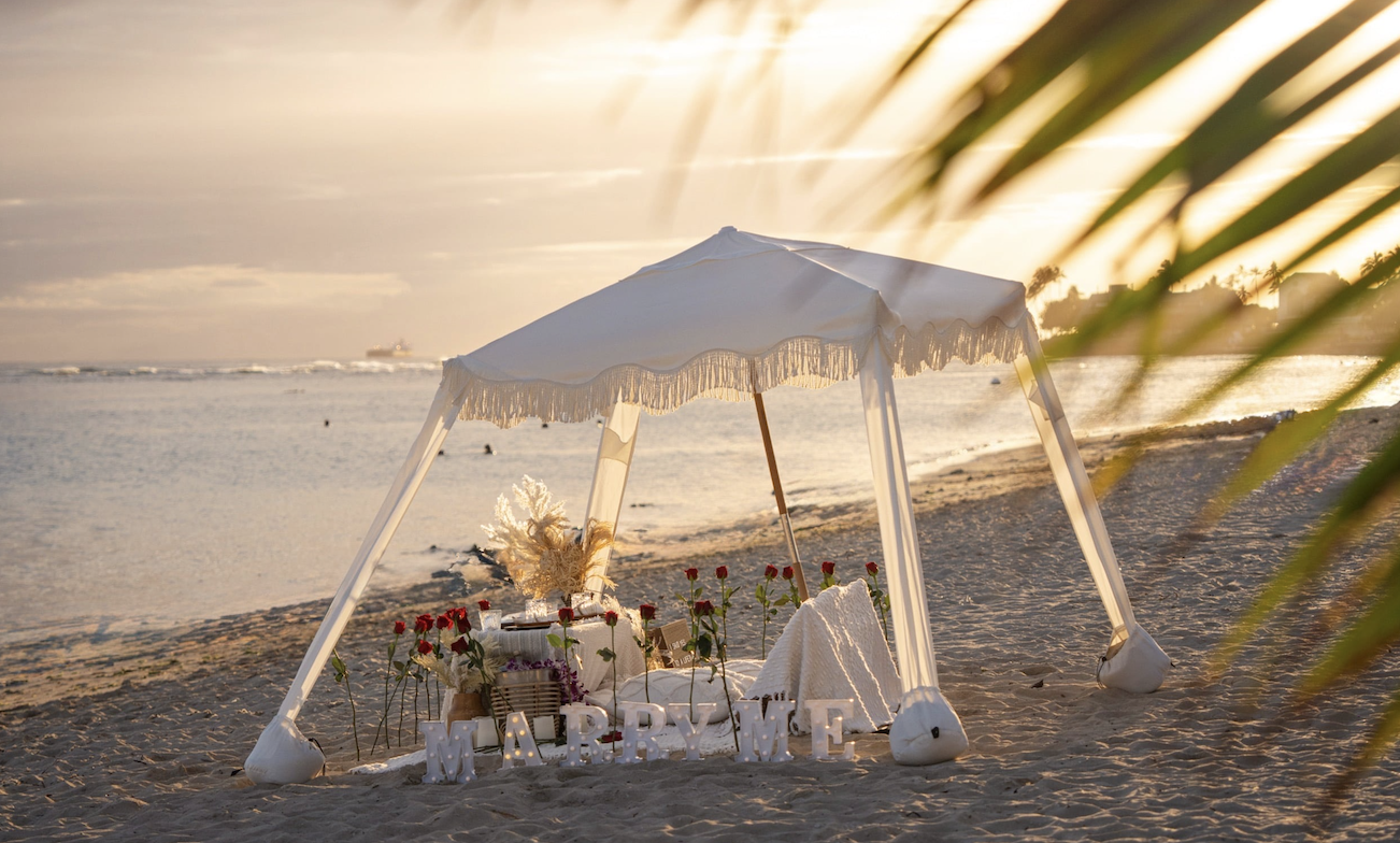 Annie Hawaii Luxury Picnic offer luxury picnic proposal on Oahu - Hawaii Annie Hawaii Luxury Picnic offer luxury picnic proposal on Oahu - Hawaii