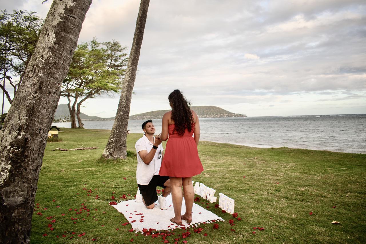 Romantic Proposal Picnic Romantic Proposal Picnic